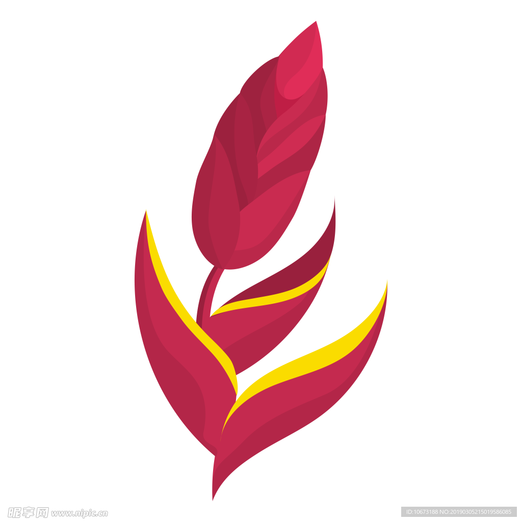 水彩植物图片