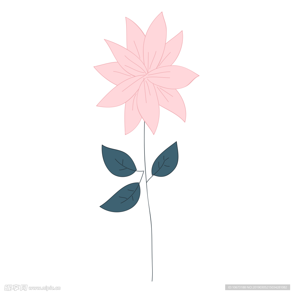 水彩植物图片