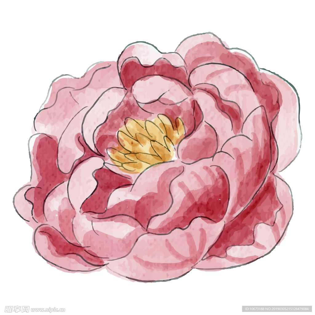 水彩植物图片