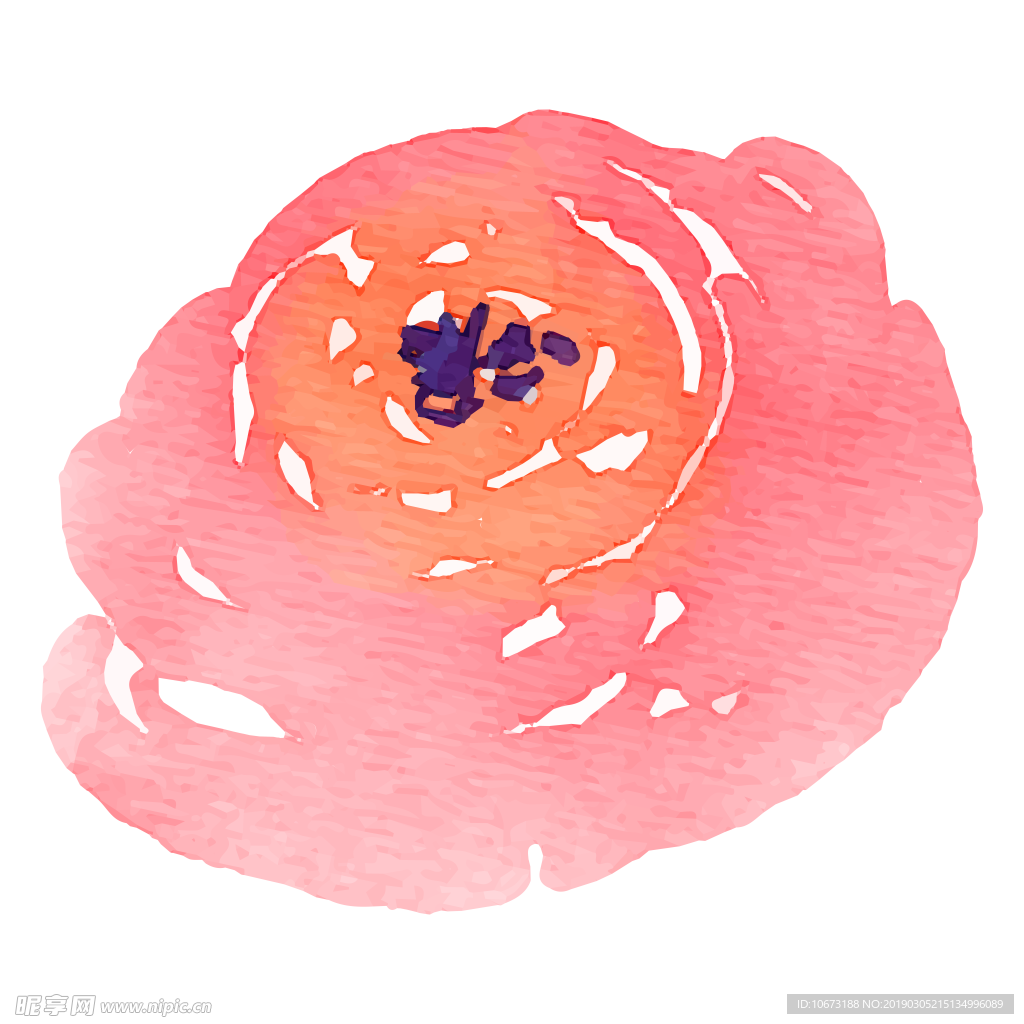 水彩植物图片