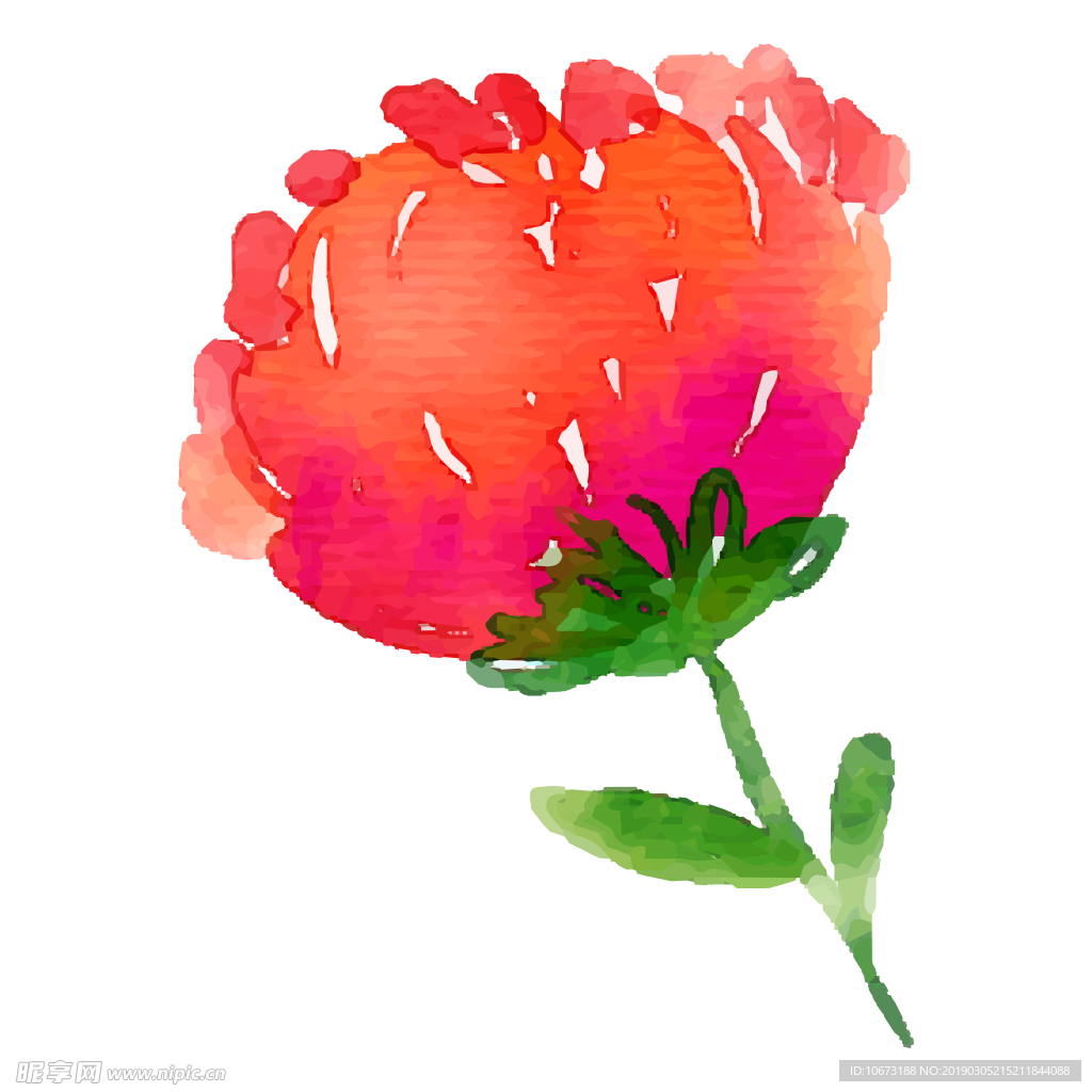 水彩植物图片