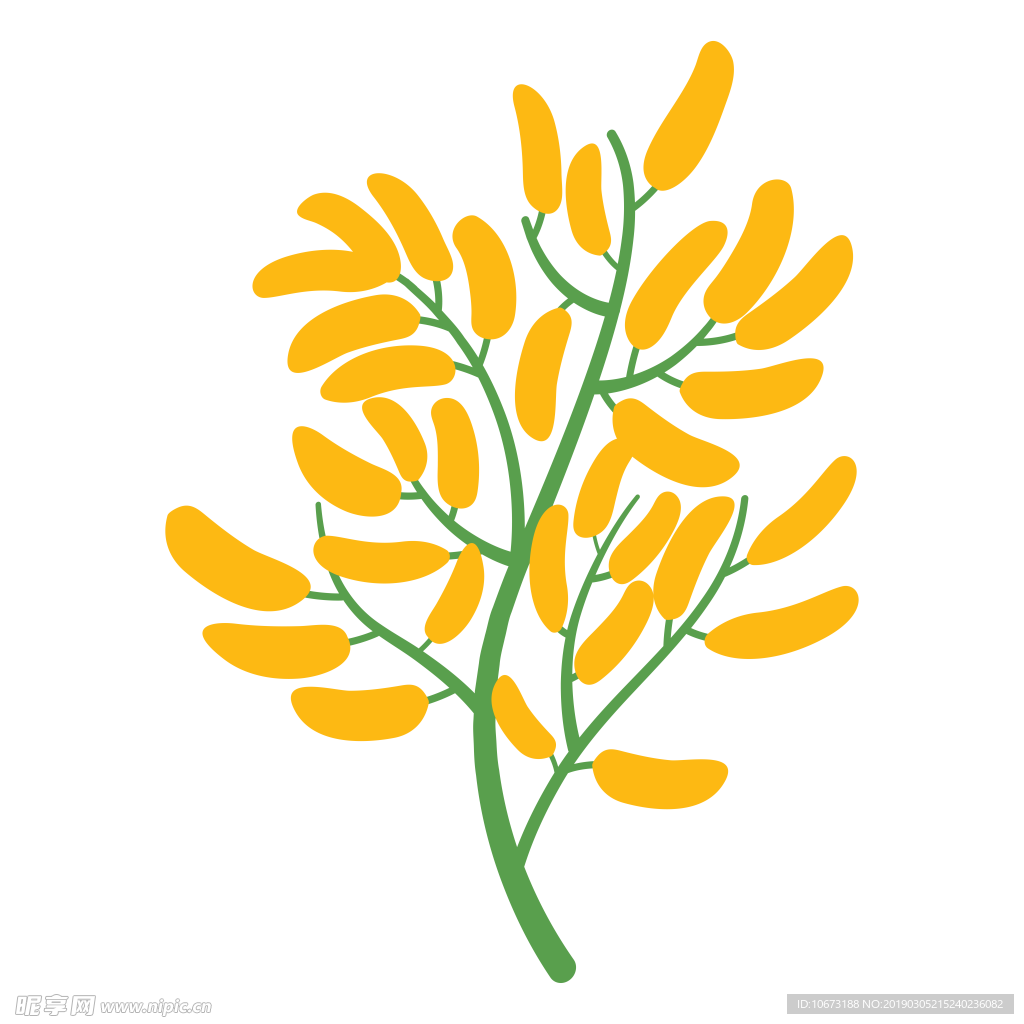 水彩植物图片