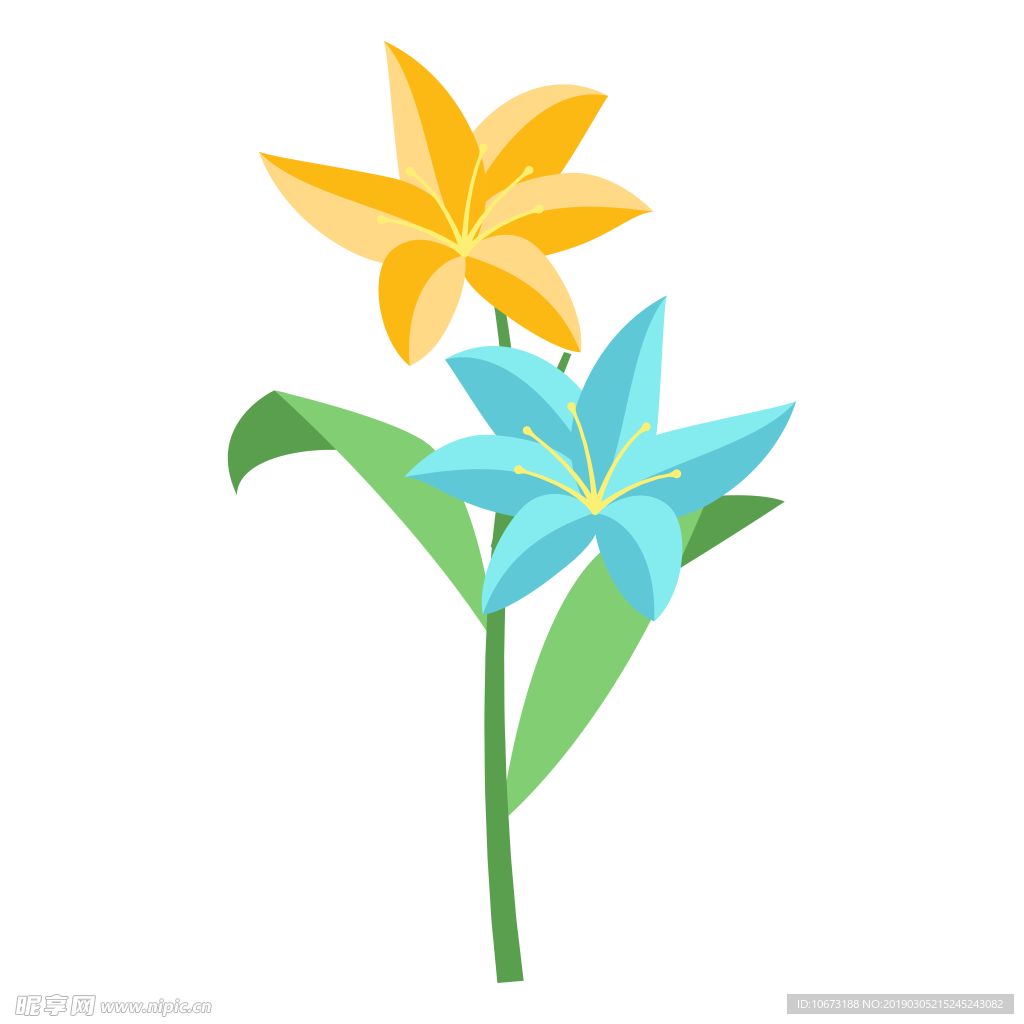 水彩植物图片