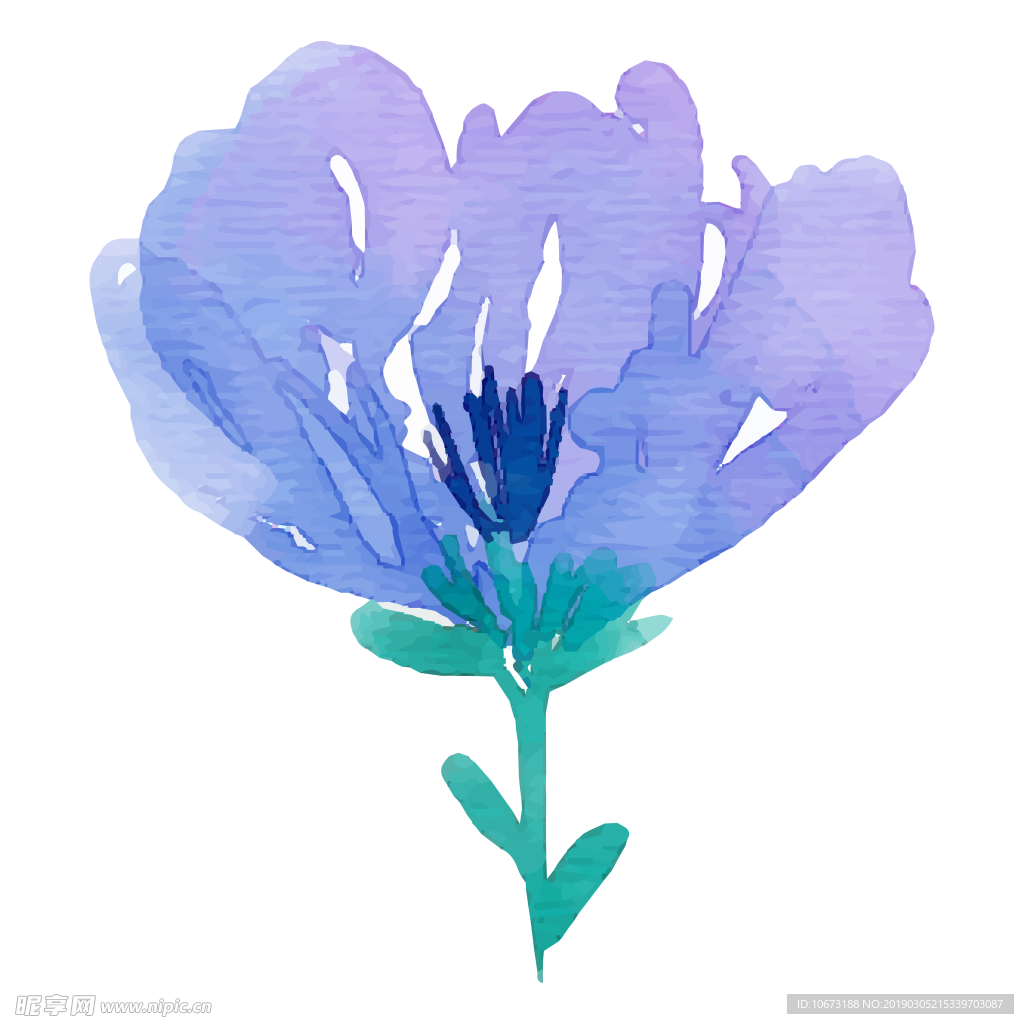 水彩植物图片