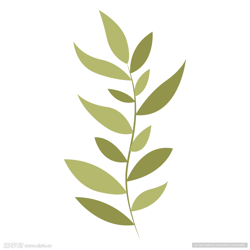 水彩植物图片