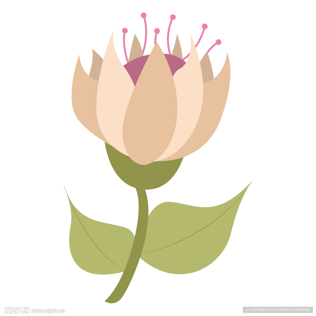 水彩植物图片
