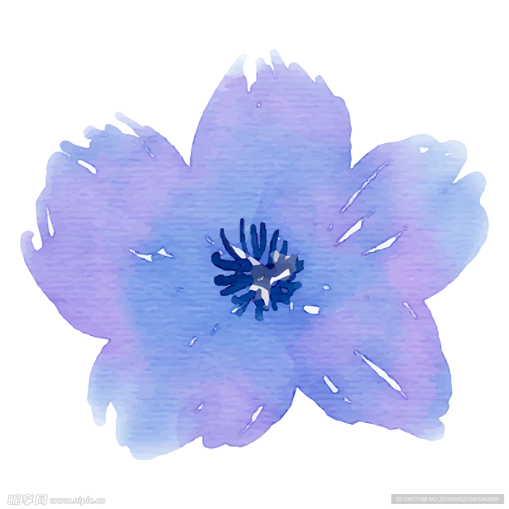 水彩植物图片