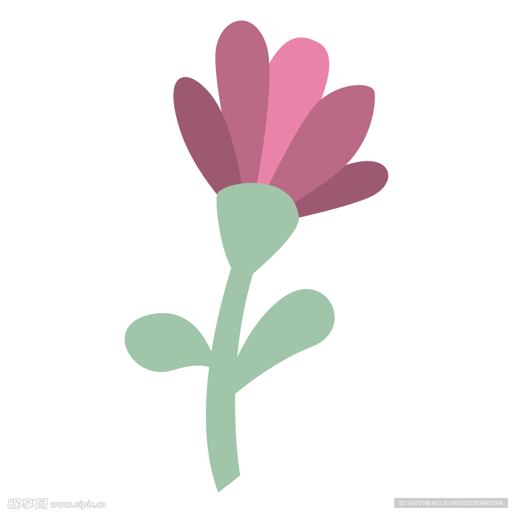 水彩植物图片
