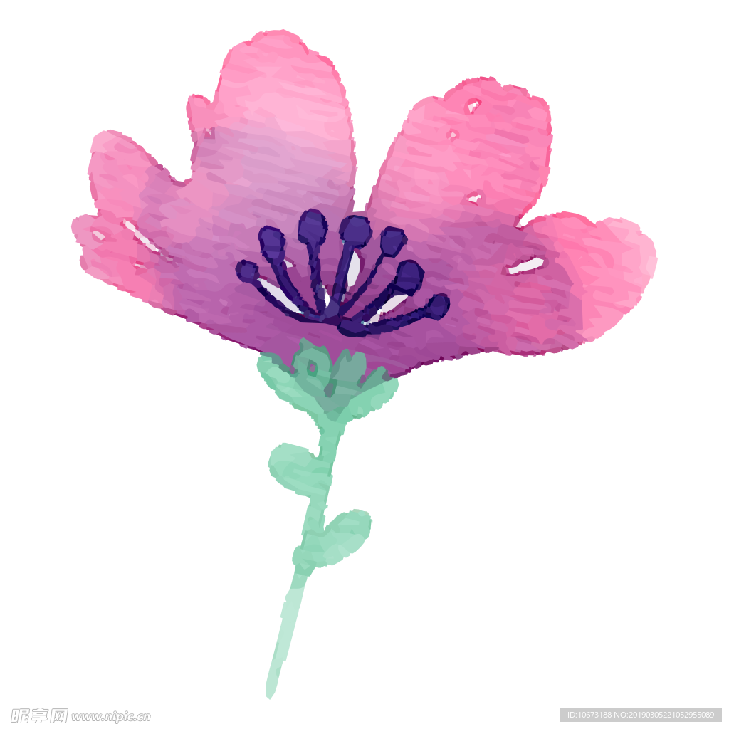 水彩植物图片