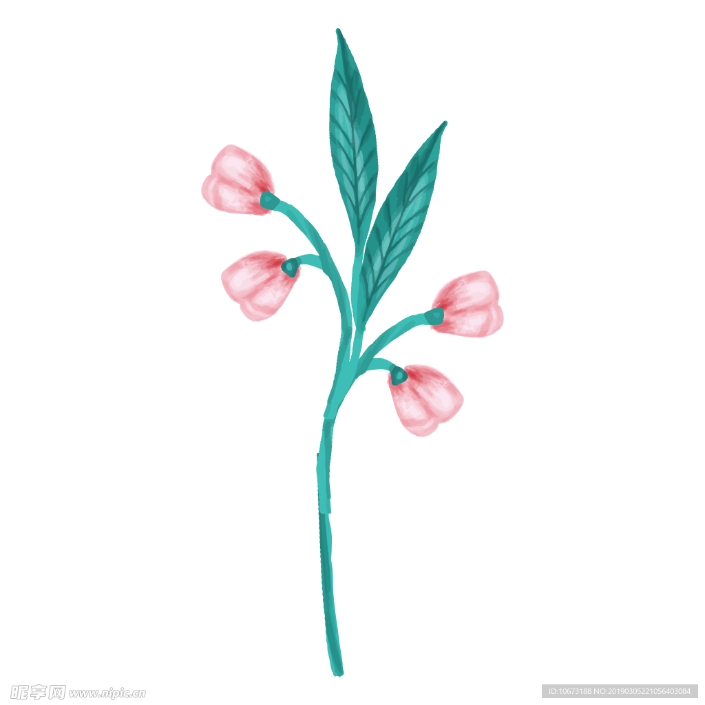 水彩植物图片