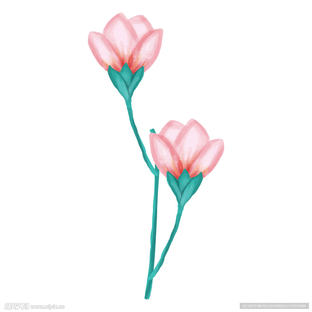 水彩植物图片