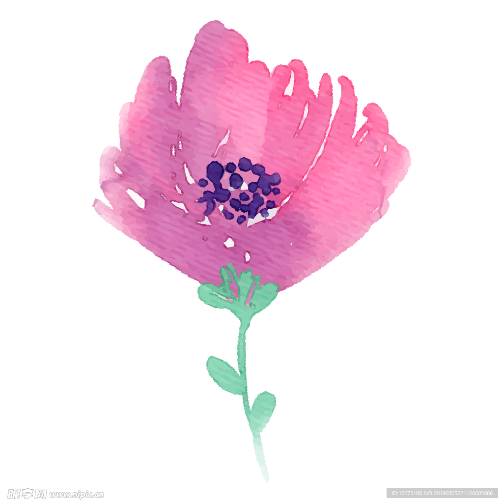 水彩植物图片