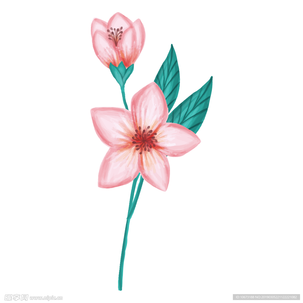 水彩植物图片