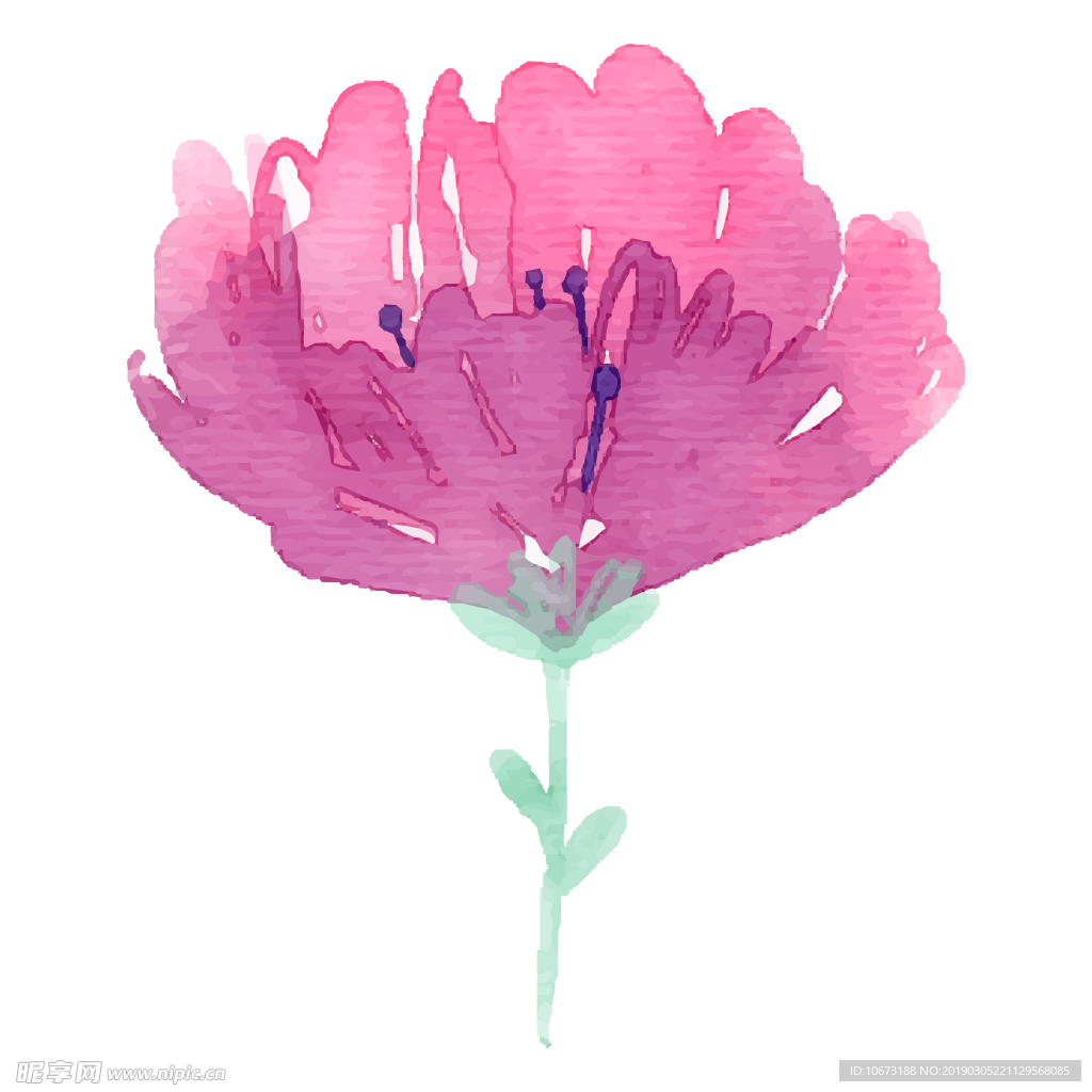 水彩植物图片