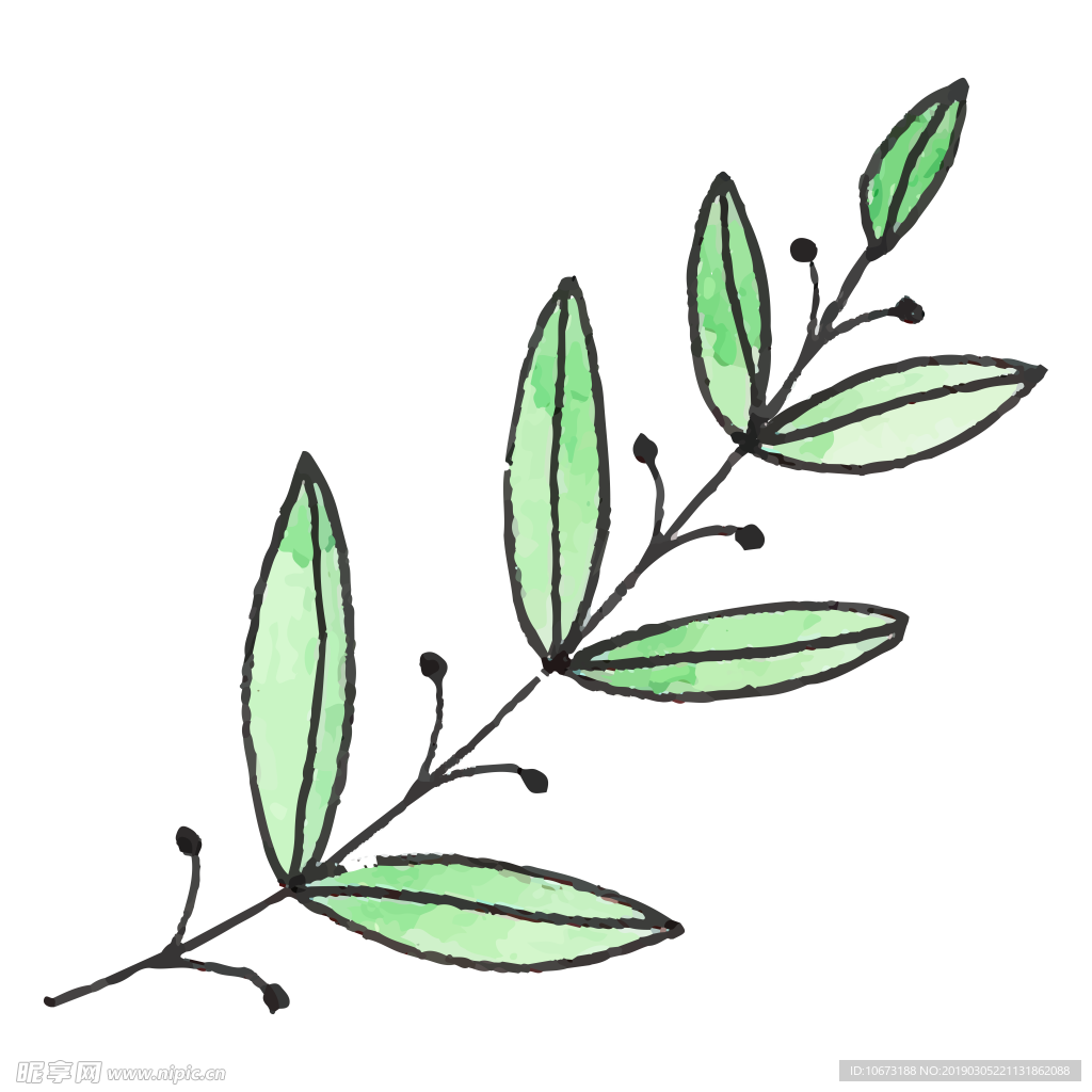 水彩植物图片