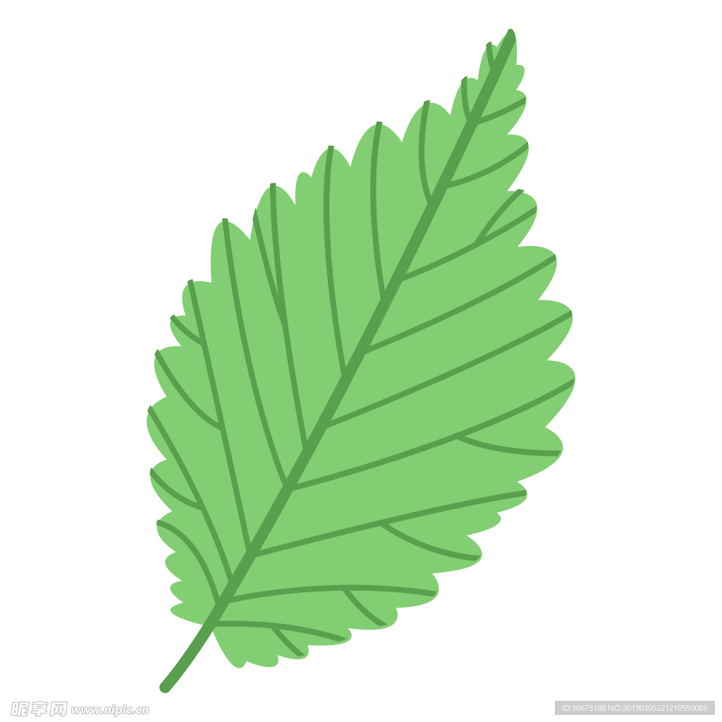 水彩植物图片