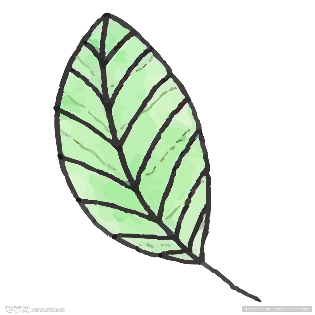 水彩植物图片