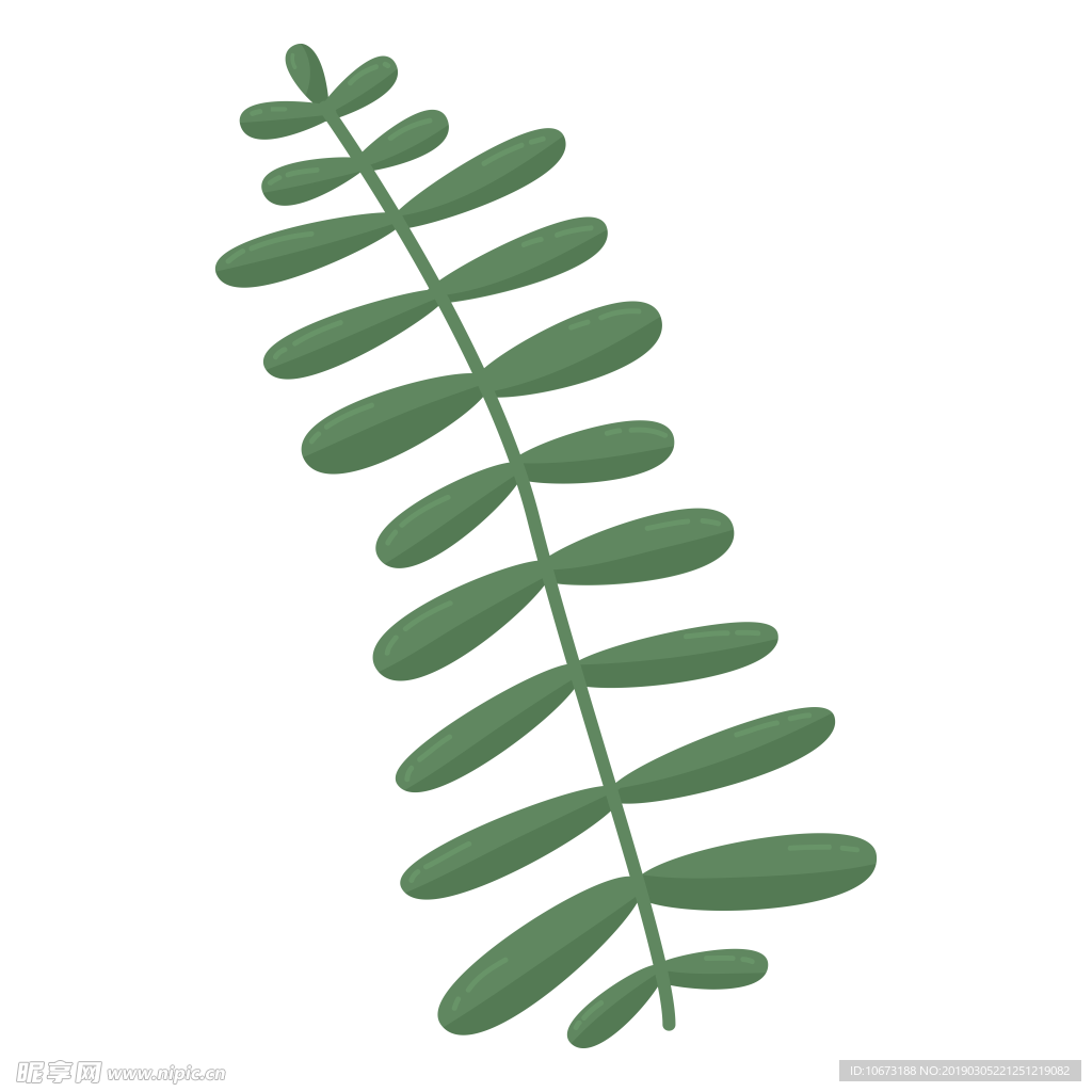 水彩植物图片