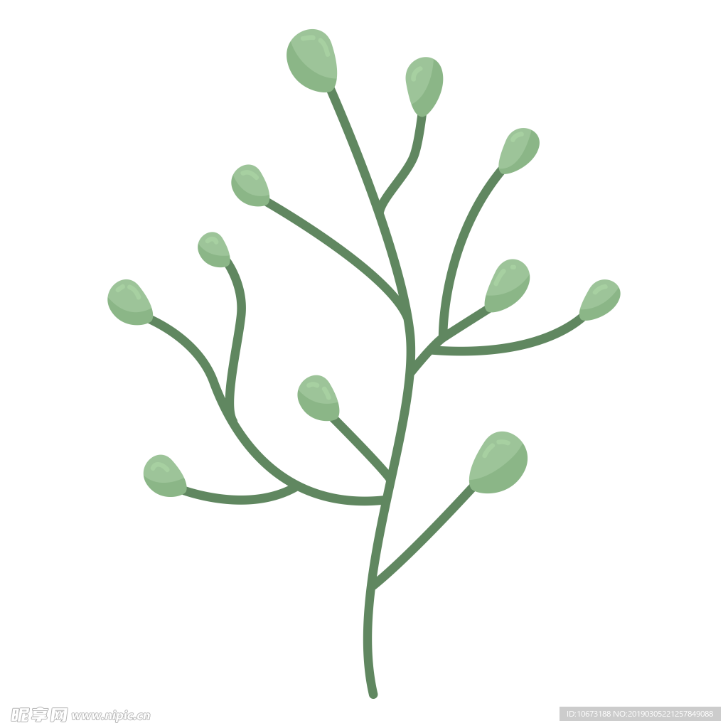 水彩植物图片