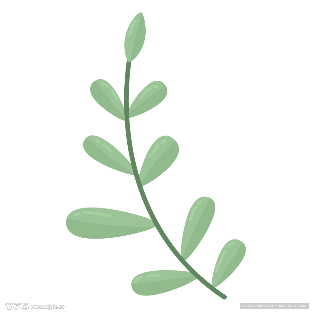 水彩植物图片