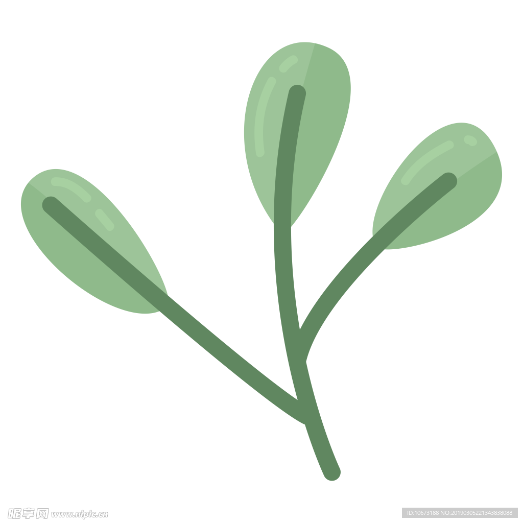 水彩植物图片