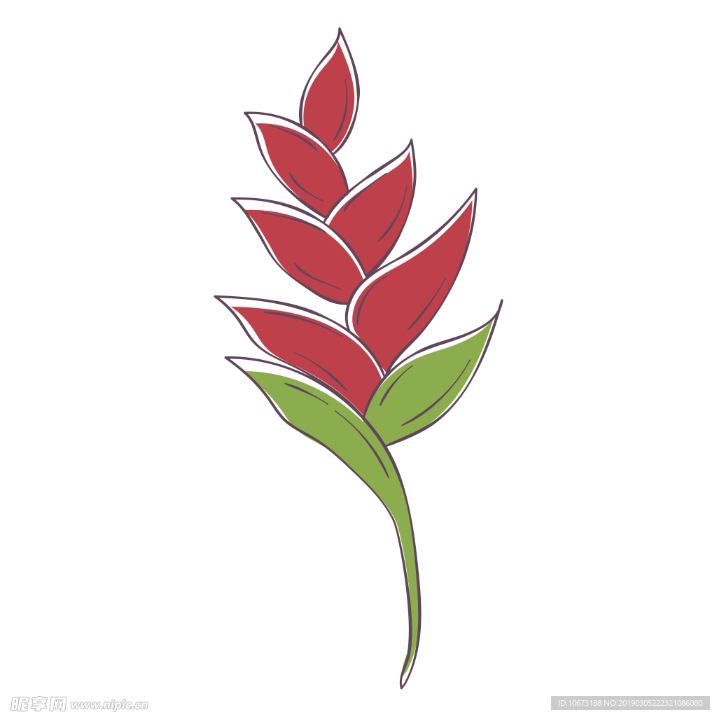 水彩植物图片