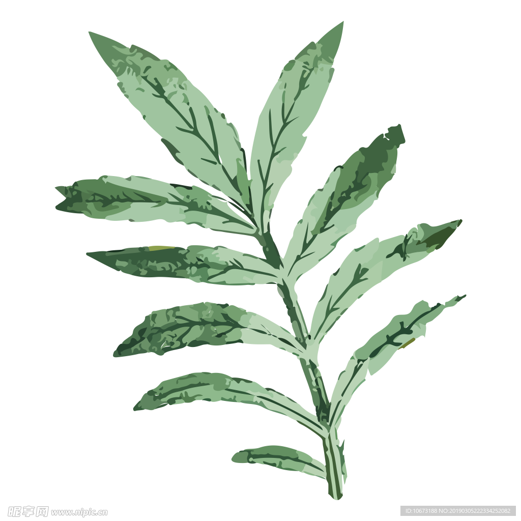水彩植物图片