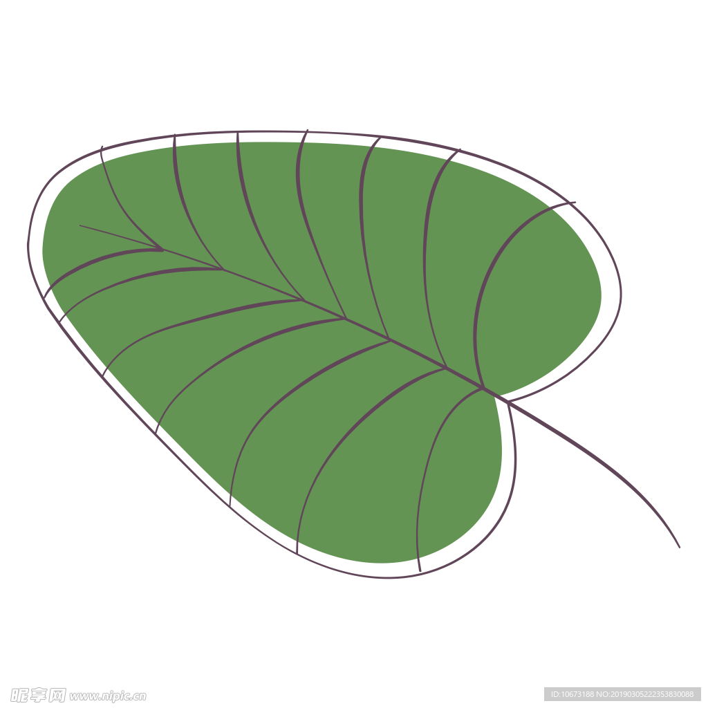 水彩植物图片
