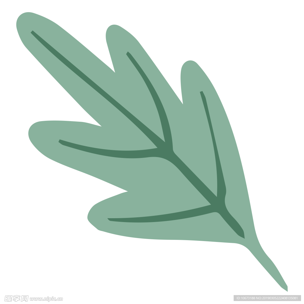 水彩植物图片