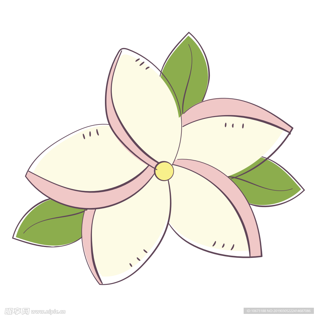 水彩植物图片