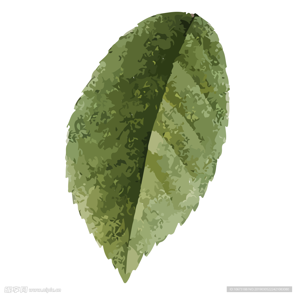 水彩植物图片