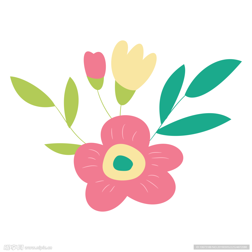 水彩植物图片