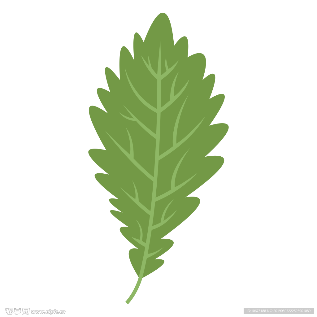 水彩植物图片