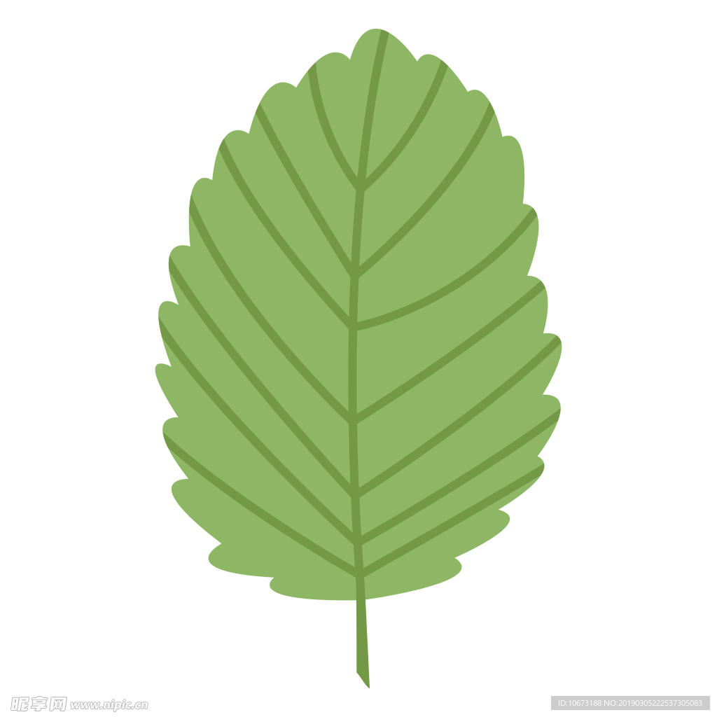 水彩植物图片