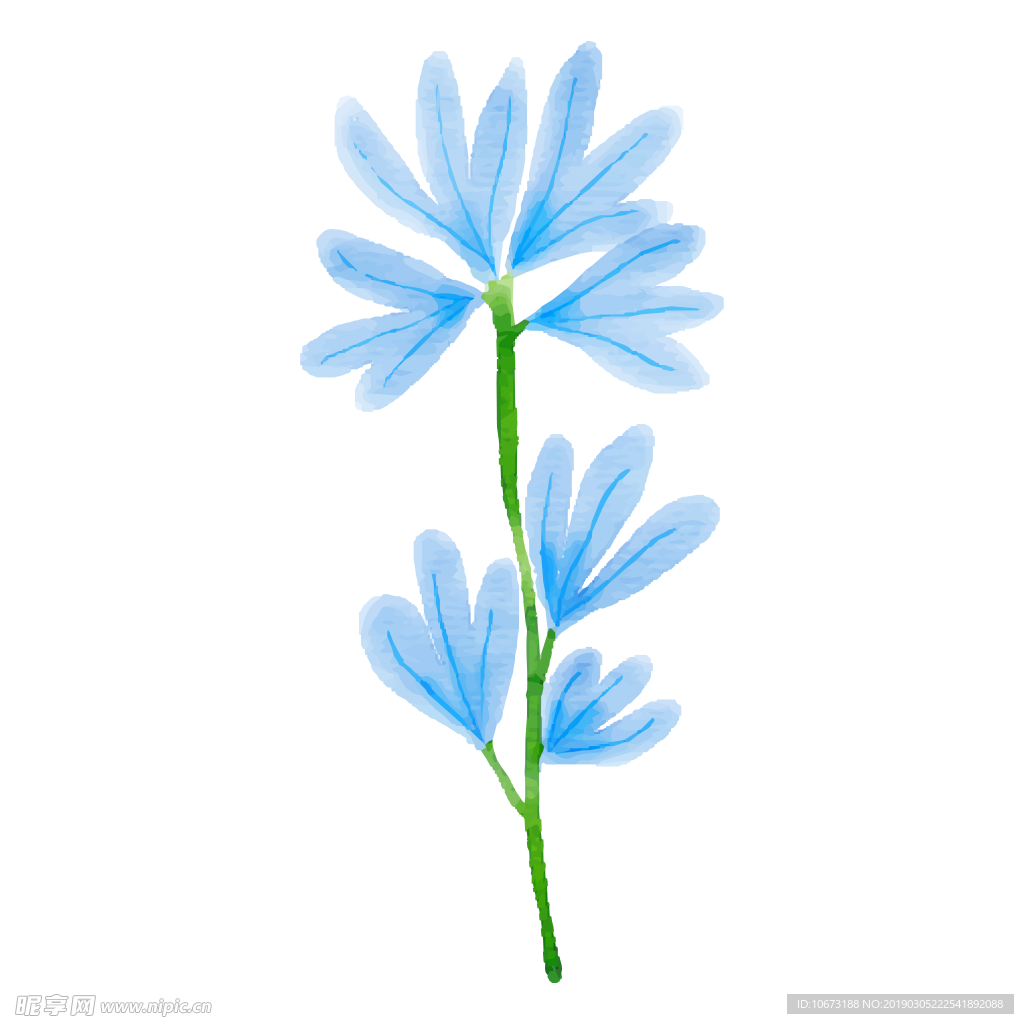 水彩植物图片