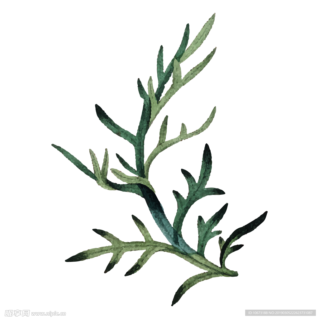 水彩植物图片