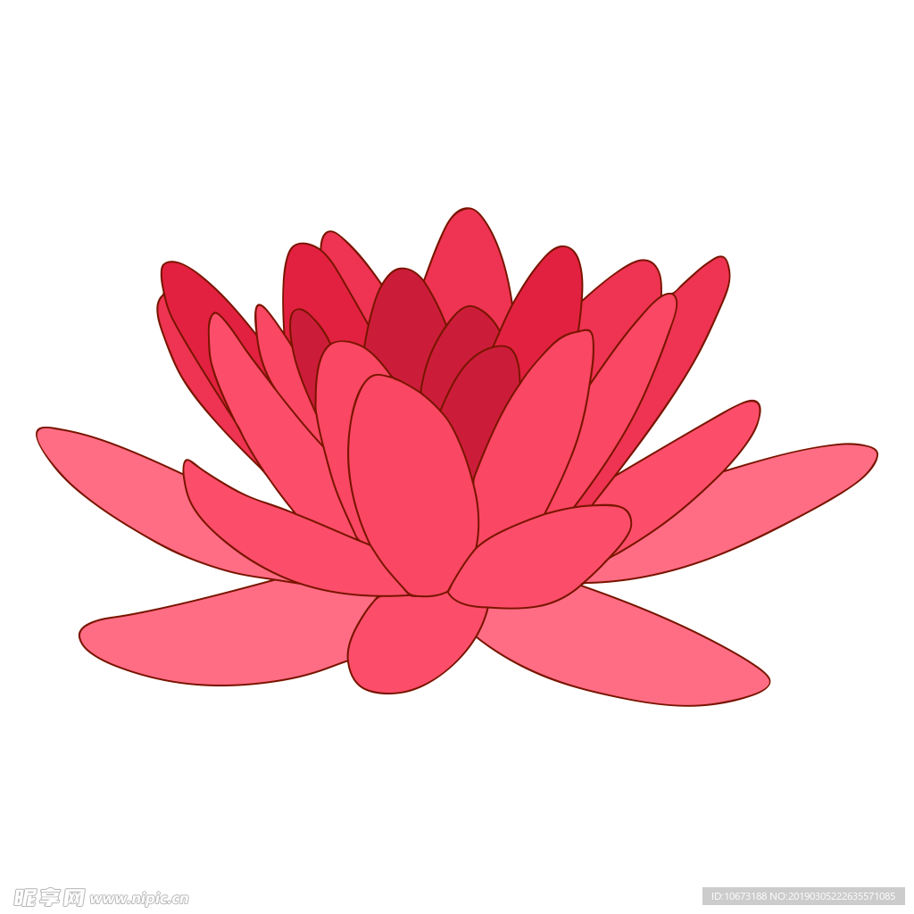 水彩植物图片