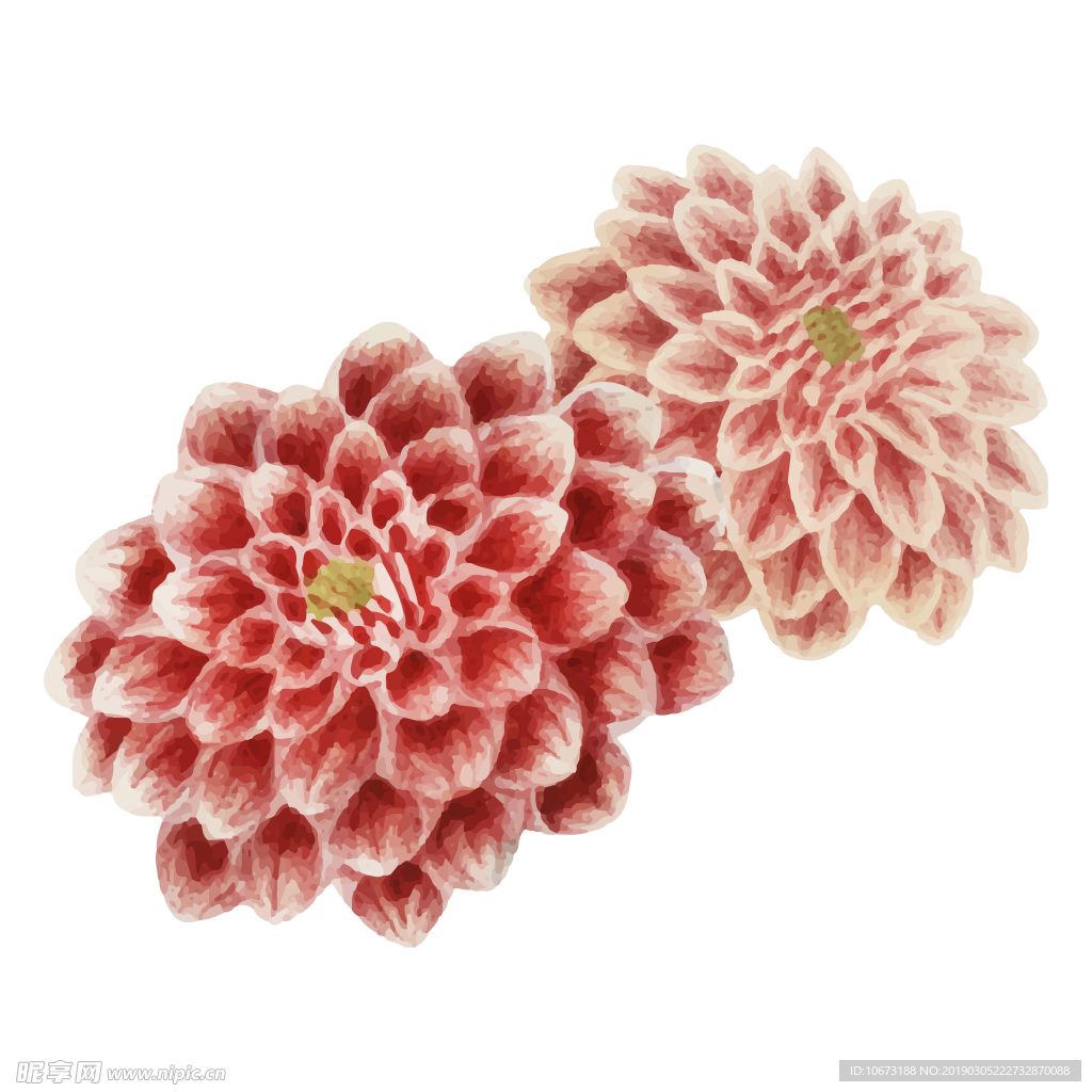 水彩植物图片