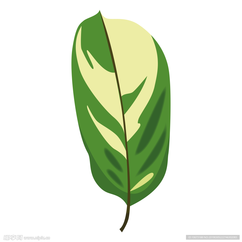 水彩植物图片