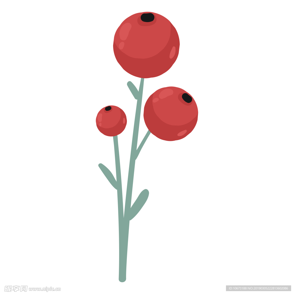 水彩植物图片
