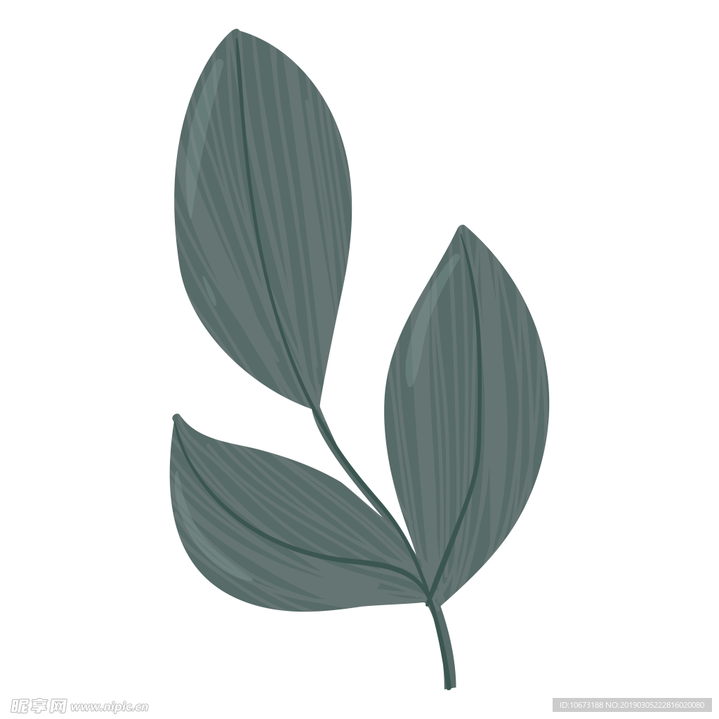 水彩植物图片