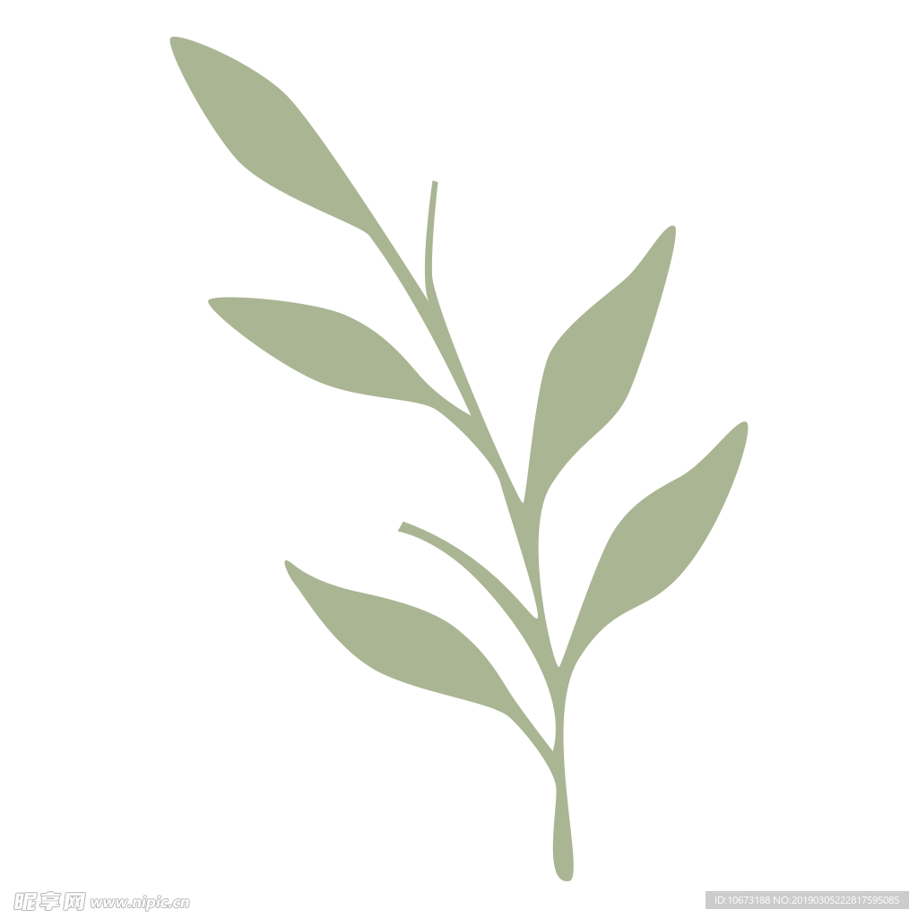 水彩植物图片
