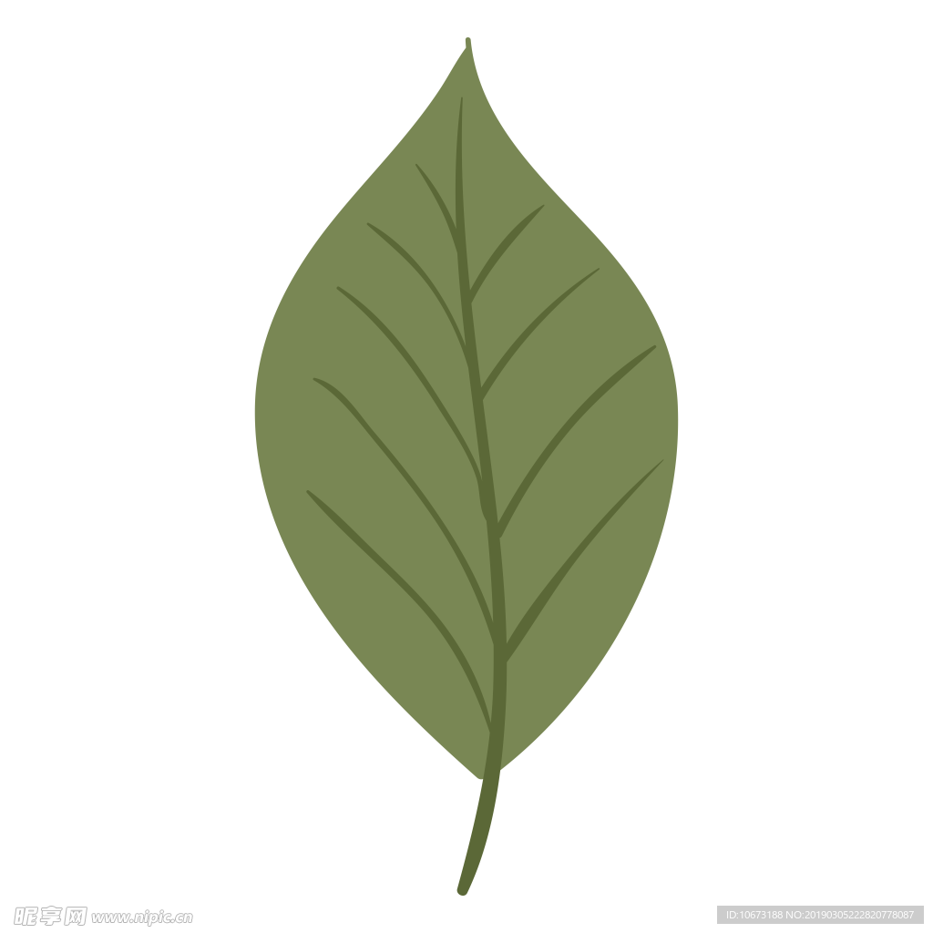 水彩植物图片