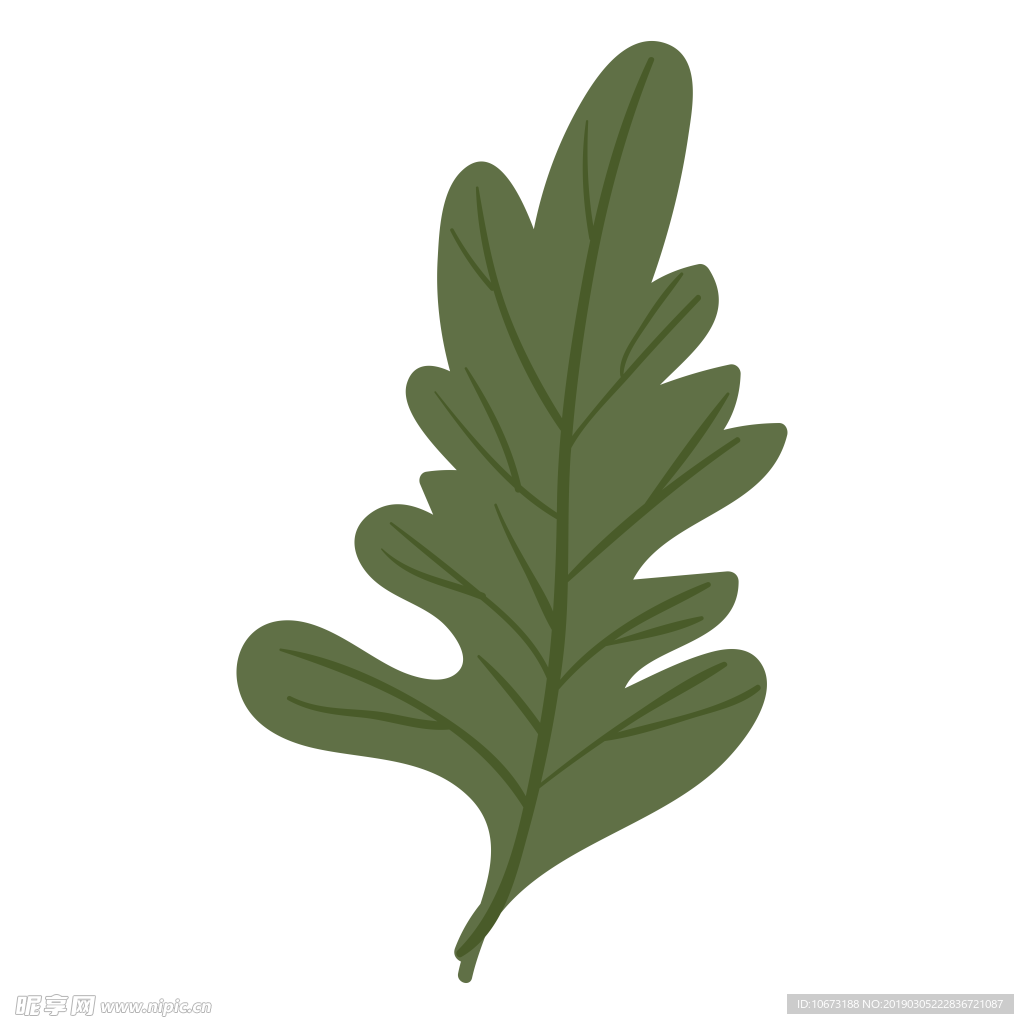 水彩植物图片