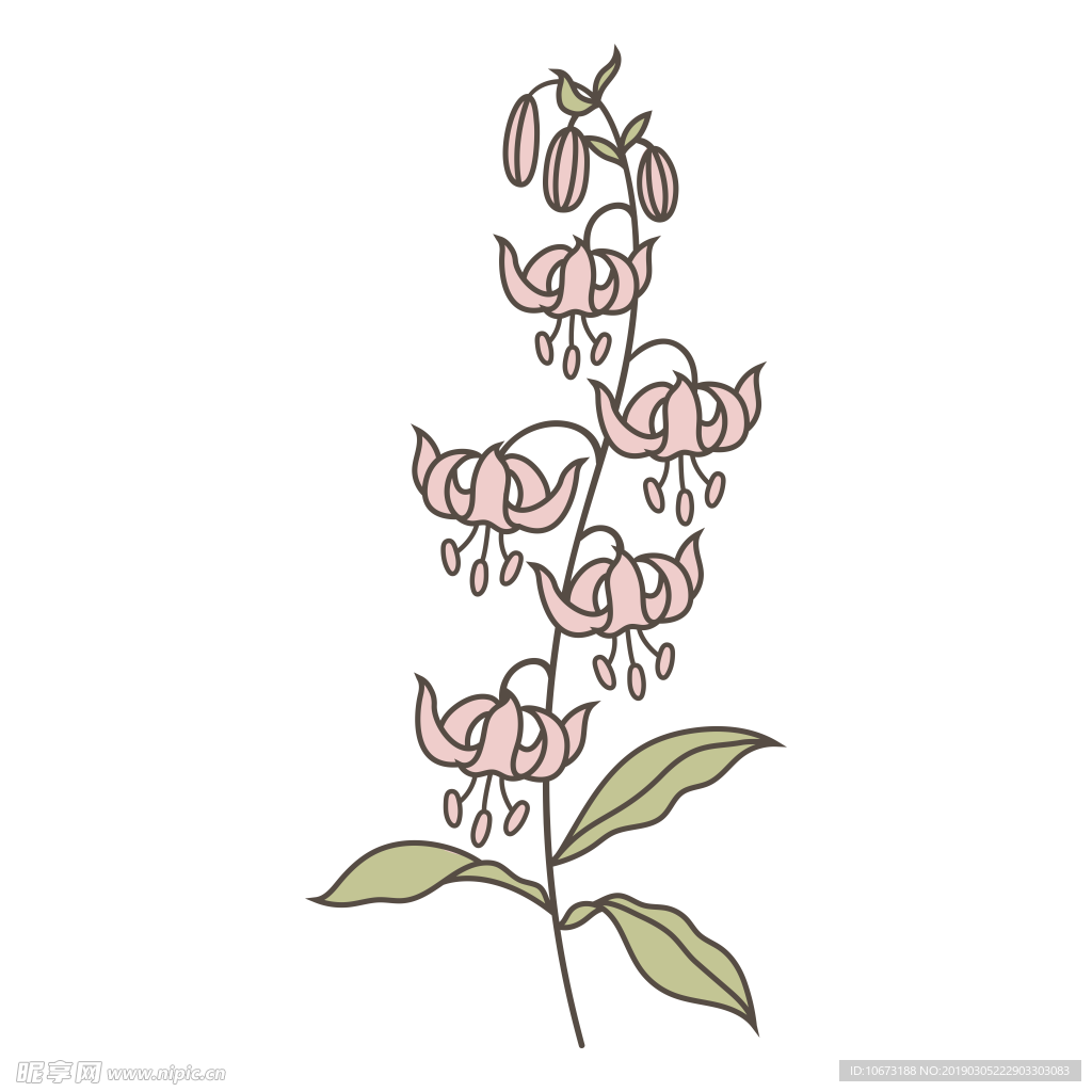 水彩植物图片