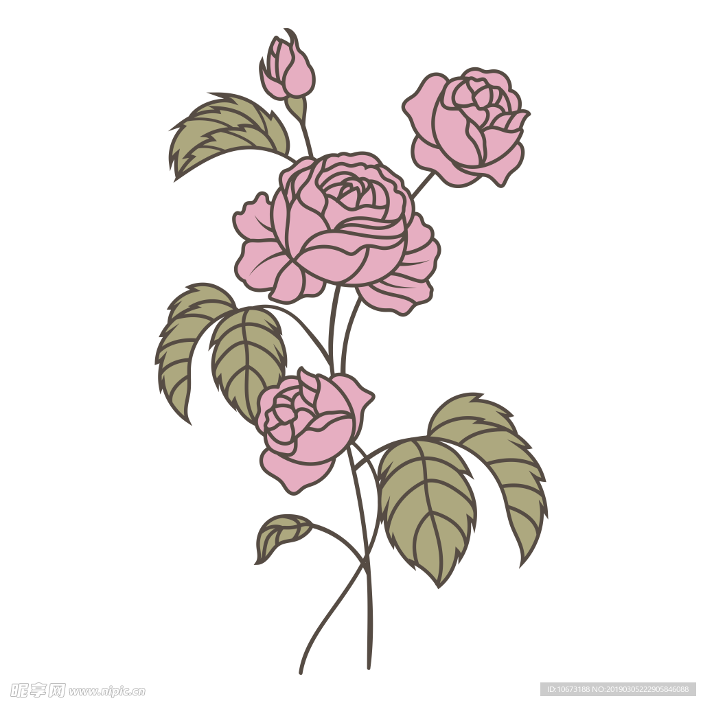 水彩植物图片