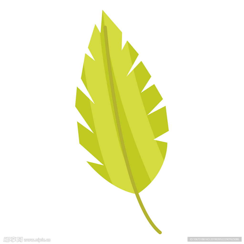 水彩植物图片
