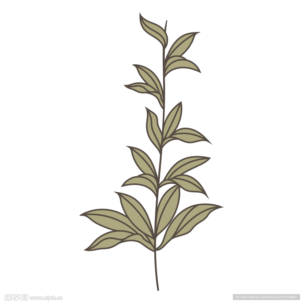水彩植物图片