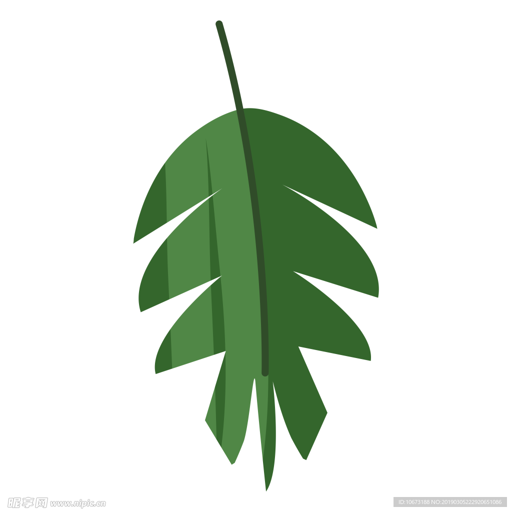 水彩植物图片