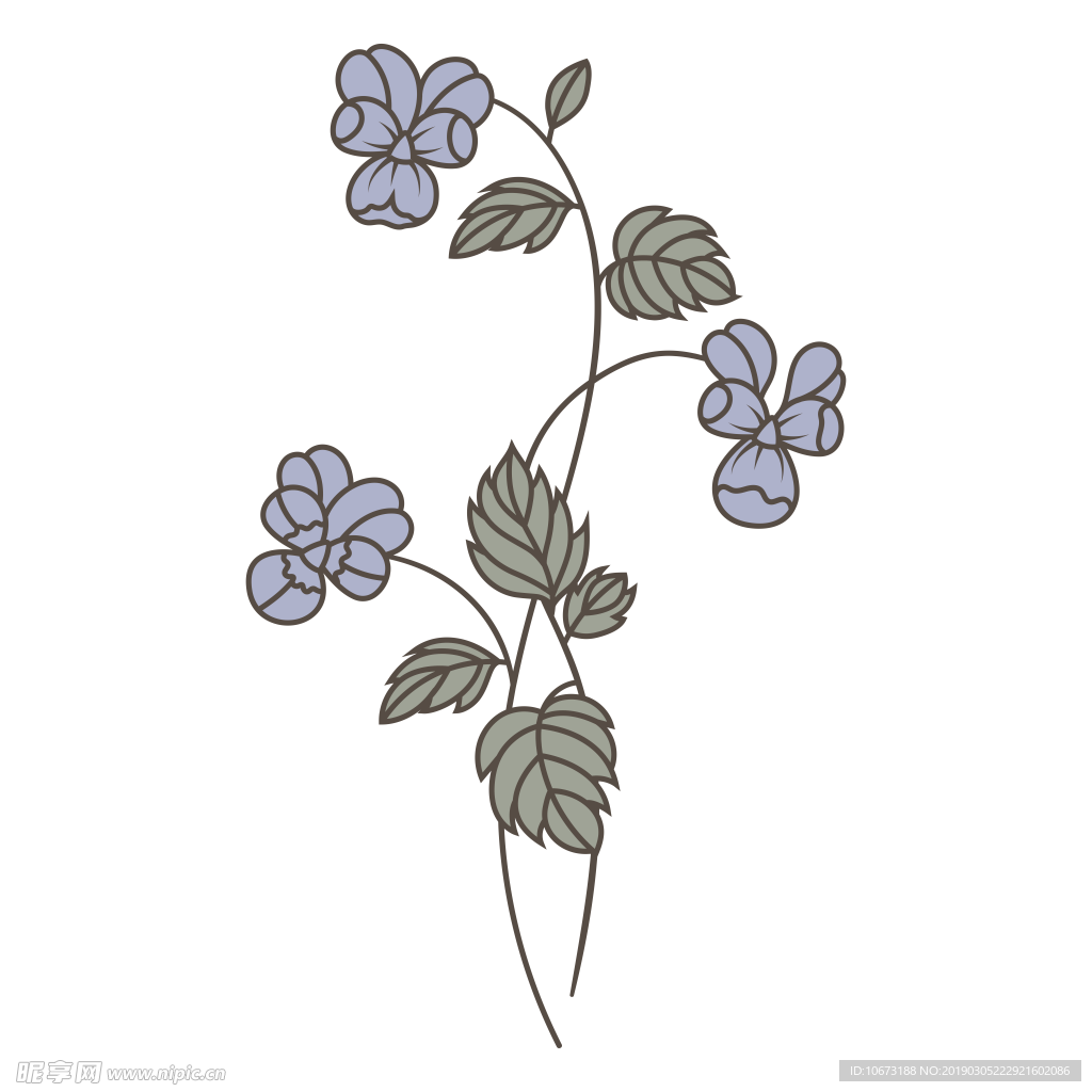 水彩植物图片